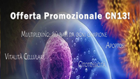 Banner_cn13_WebOfferHP